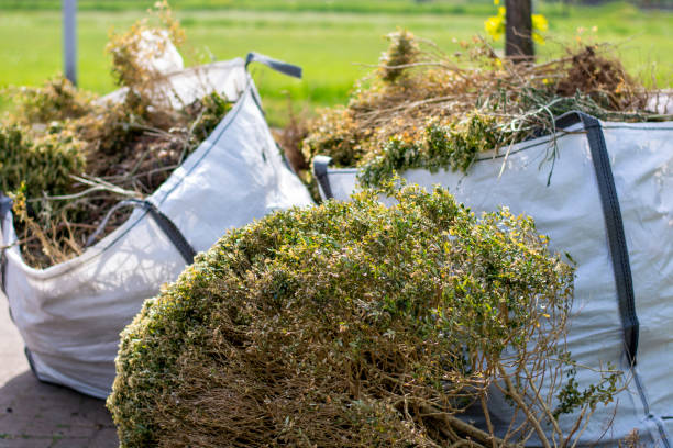 Best Furniture Removal Near Me  in Independence, VA